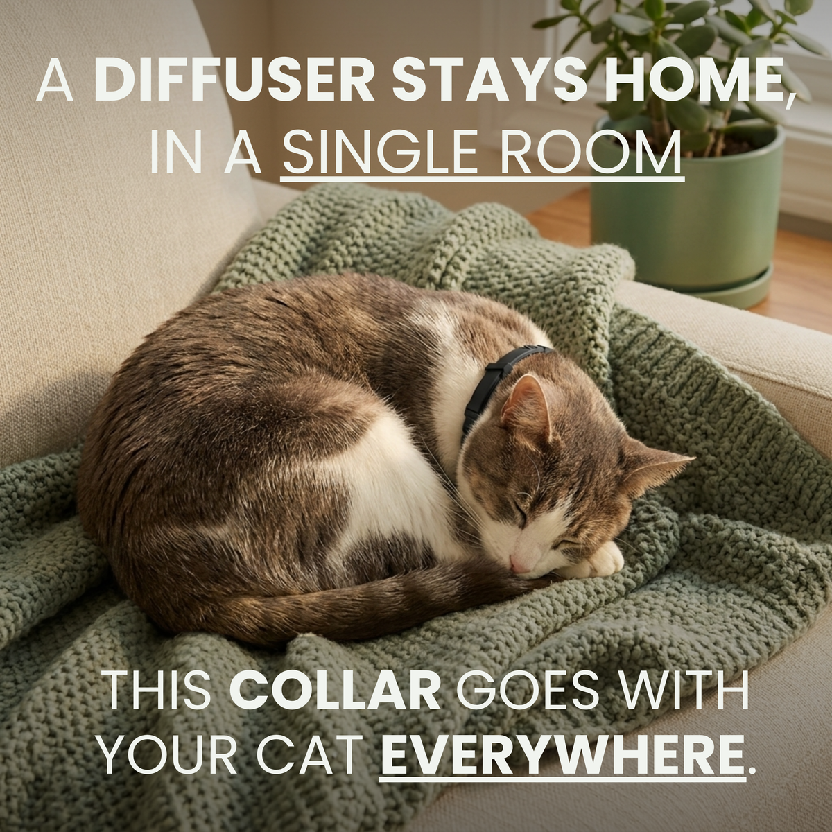 Lucky & Lea™ - Calming Collar