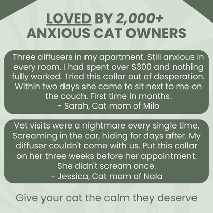 Lucky & Lea™ - Calming Collar