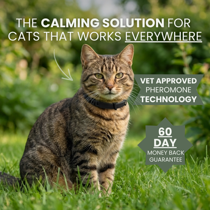 Lucky & Lea™ - Calming Collar