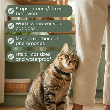 Lucky & Lea™ - Calming Collar