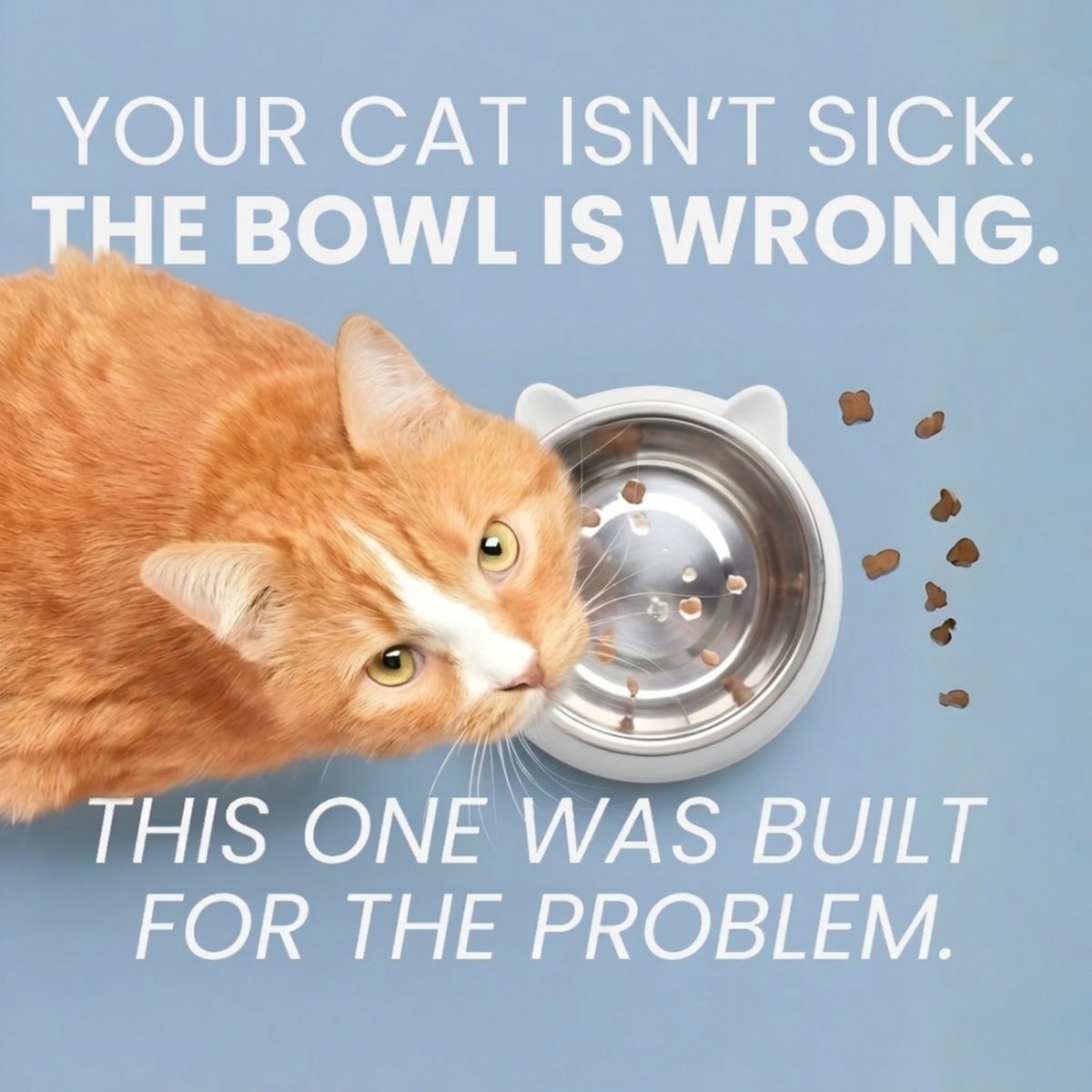 Glide™ Anti-Vomit Bowl